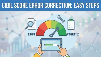 CIBIL Score Error Correction